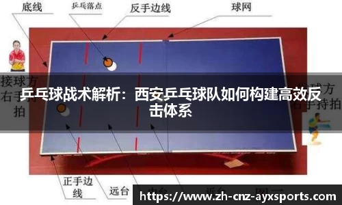 乒乓球战术解析：西安乒乓球队如何构建高效反击体系